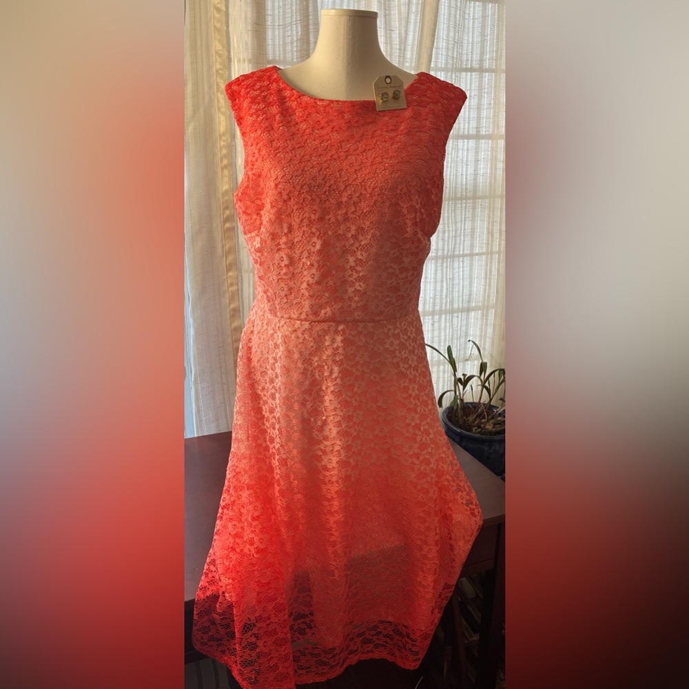 Covington Fit & Flare Coral Lace Dress Size 16 - Picture 3 of 8